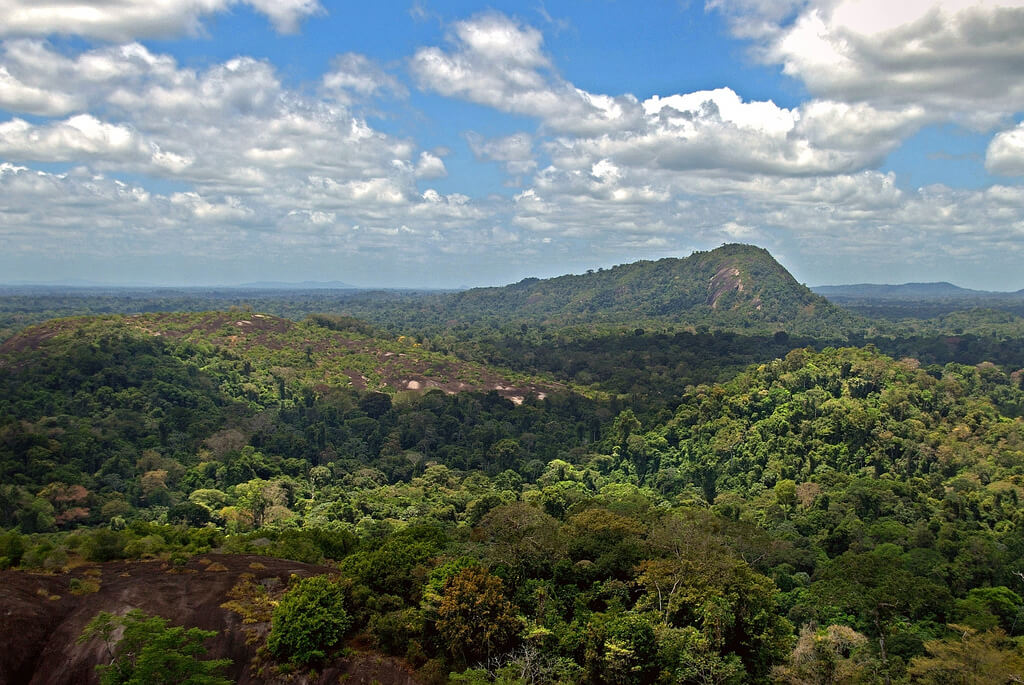 Suriname Wo Und Wann Sollte Man Baden Monatliche Meerestemperatur