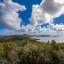 Presqu'île de la Caravelle (Halbinsel Caravelle)